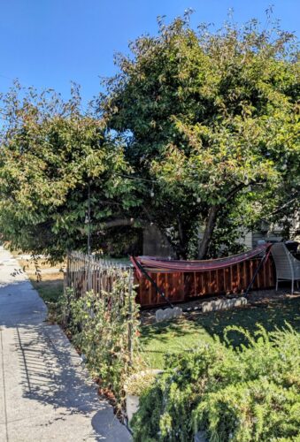 Hammock in Santa Cruz